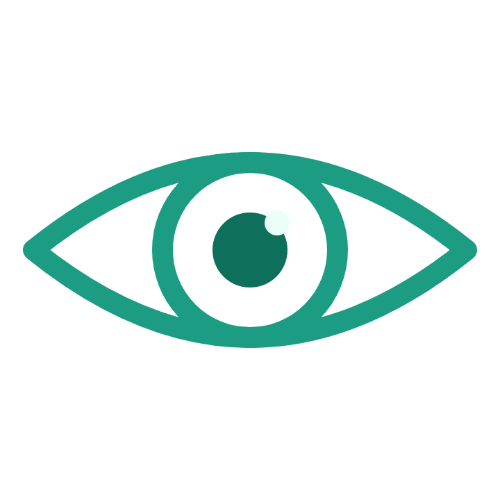 Vision